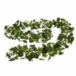 English Ivy Chain Garland (6ft)