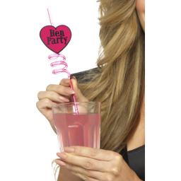 Hen Party Drinking Straws 6pcs