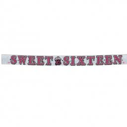 Sweet 16 Gliltter Fringe Letter Banner 3 m