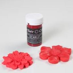 Pastel Pastel Paste Colours Scarlet 25g