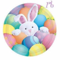 Peek a boo Bunny 8 Plates 7in