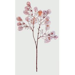 56cm Copper Eucalyptus Spray