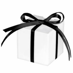 White Paper Treat Boxes 2.5x2.5x2.5 inch