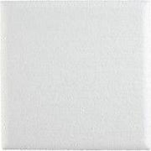 8X5 inch Square Chem Edge Dummy