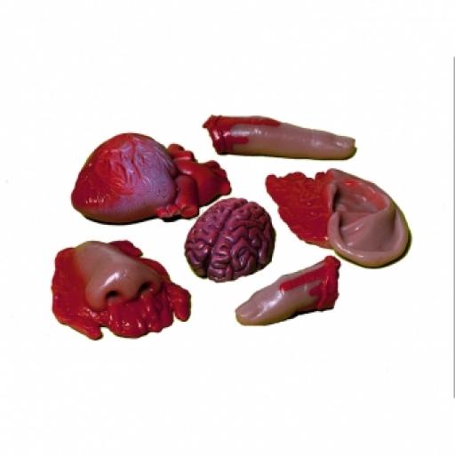 Bloody Human Parts