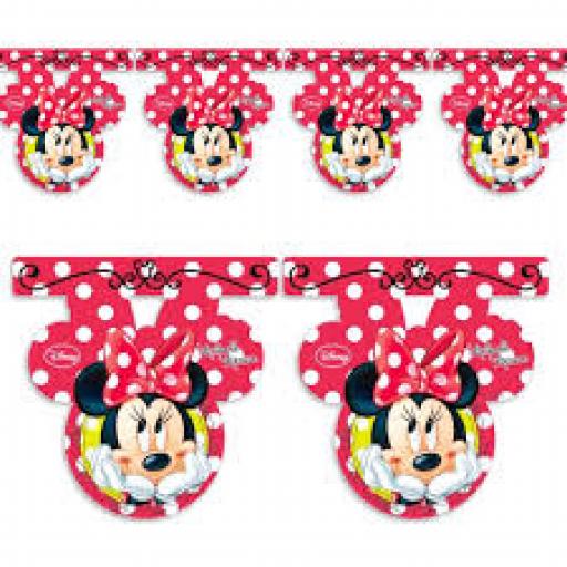 Minnie Plastic Flag Banner 2.5M