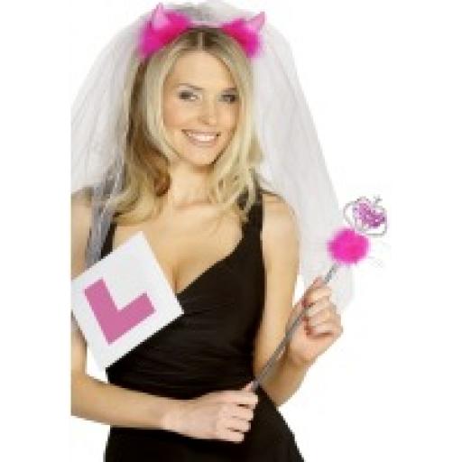 HEN NIGHT BRIDE TO BE SET