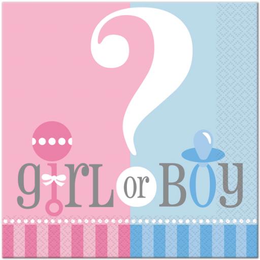 Gender Reveal Baby Shower Luncheon Napkins 20ct 2ply