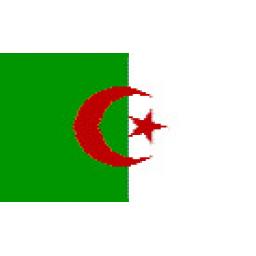 Flag of Algeria