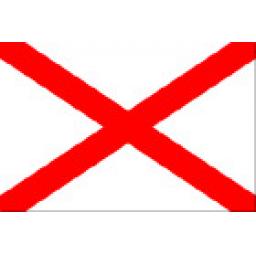 Flag of Stpatrickscross
