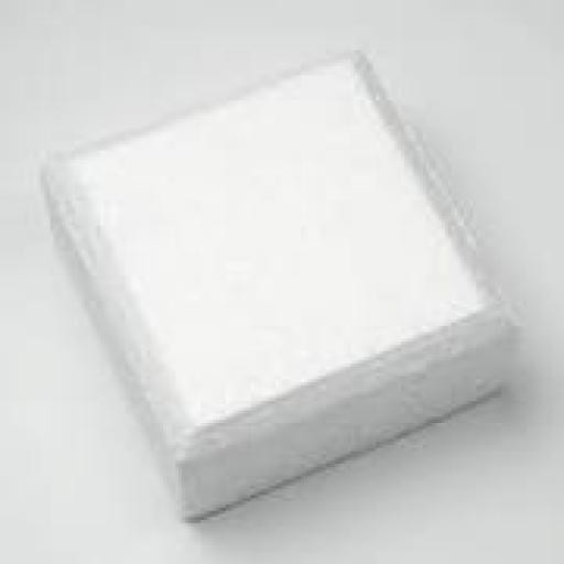 10x4 inch Square Chem Edge Dummy