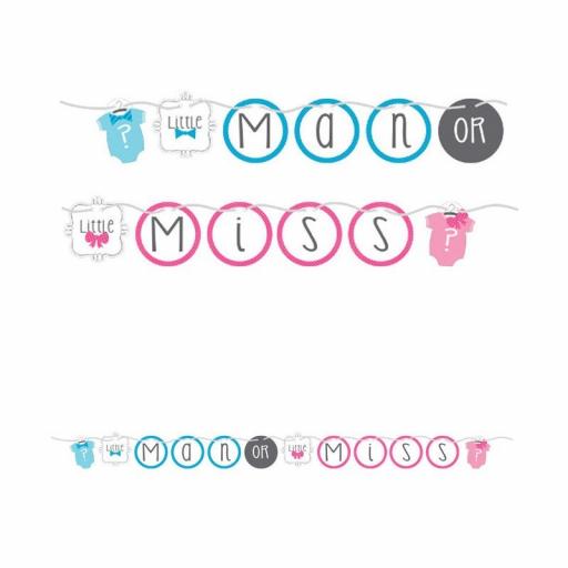 Little Man or Little Miss Shaped Paper Baby Shower Banner 1.52m