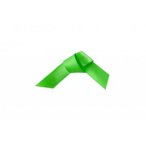 Satin Ribbon Woven Edge Apple Green 25mm