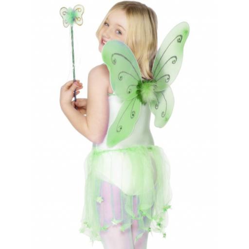 Green Butterfly Wings & Wand 38x42 cm