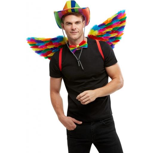 Rainbow Feather Wings