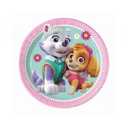 Paw Patrol Sky Paper Plates 20cm.jpg