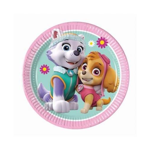 Paw Patrol Sky Paper Plates 20cm.jpg