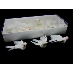 12 small white doves.jpg