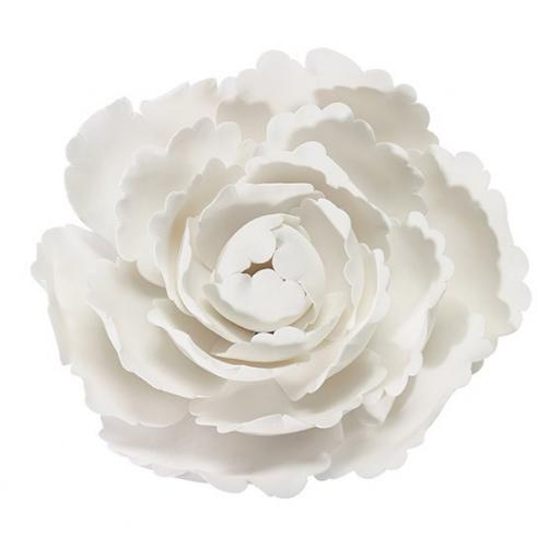 White Gumpaste Peony 4''