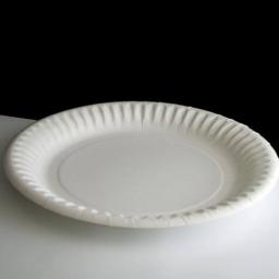 paper-plate9-l.jpg