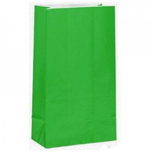 12 Green Paper Party Bags