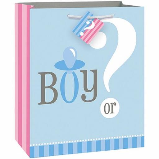 Unique Large Gender Reveal Gift Bag