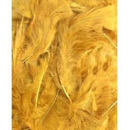 gold feathers.jpg