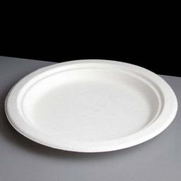 large-bagasse-plate-l.jpg