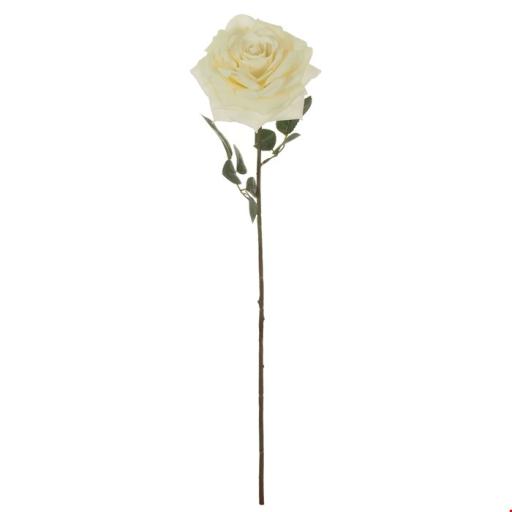 Cream Rose Stem