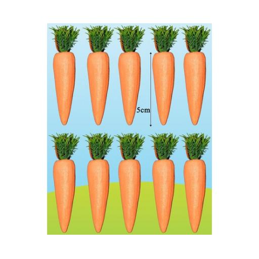 DP06476.jpg.png