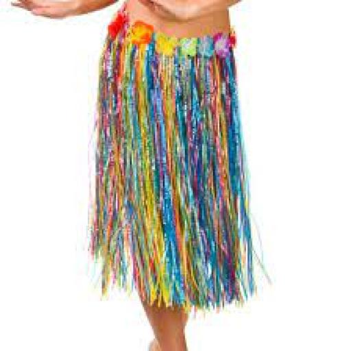 Hula Skirt - Multi (40cm)