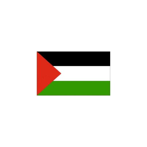 palestine-5ft-x-3ft-flag-p61860-62353_image.jpg