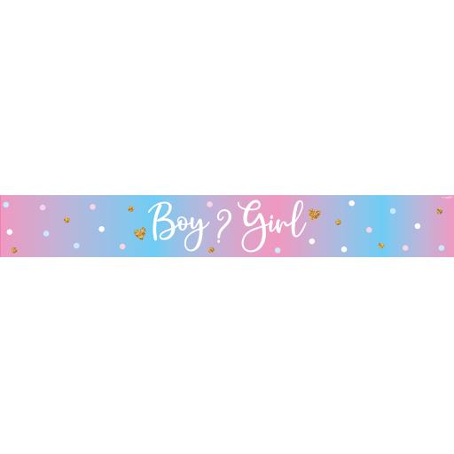 625945-9ft-Banner-Boy-or-Girl-Gender-Reveal-Holographic-H.jpg