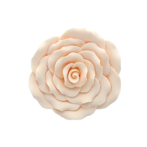 102mm Ivory/Peach Sugar Rose