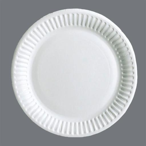 7"  White Paper Plates 100 Plates