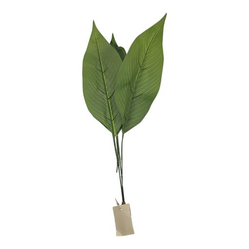 Florist – Aspidistra Leaf – 44cm