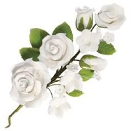 c9bed21a68f852daa8ffe6267a49f43f.jpg