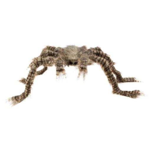 Hairy spider (50 x 70 cm)