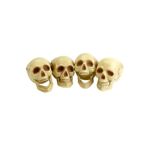 Skull Heads