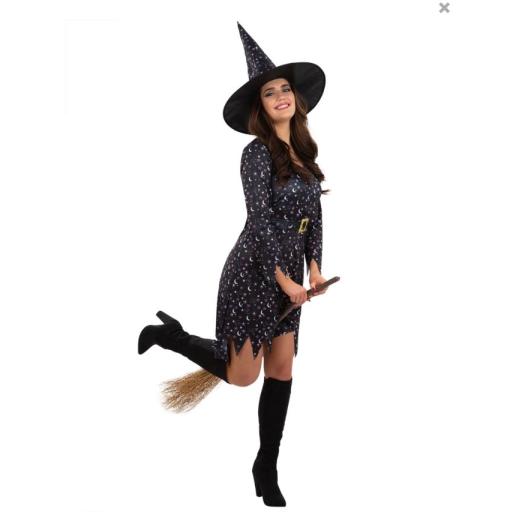 Moon & Stars Witch Costume, with Dress & Hat Size Large