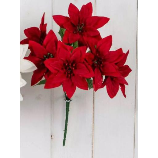 Red Lily  Bush