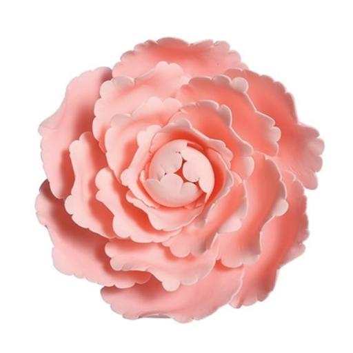 Pink Gumpaste Peony 4''