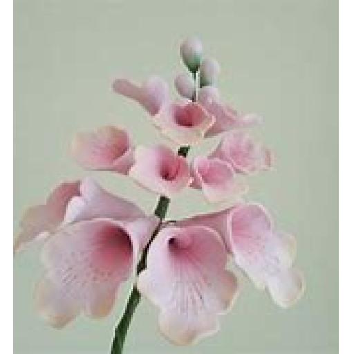 Foxglove Sugar Spray