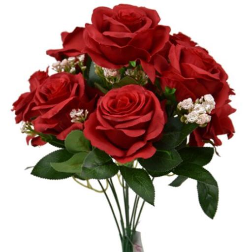 Open  Rose  Bush With Gyp  Red