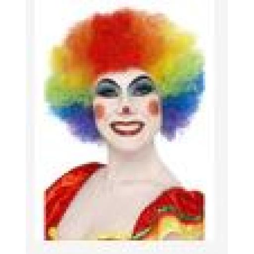 Crazy Clown Wig Rainbow Colours