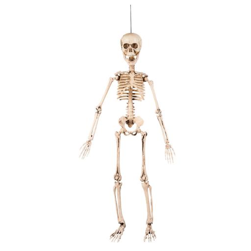 72037.jpg