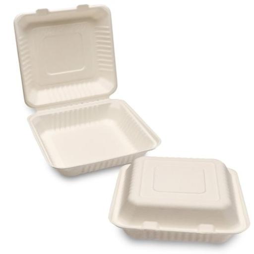 Bagasse Takeaway Container Meal Box 23cm/9" White Pack Of 50