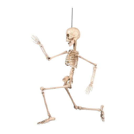 Decoration Movable skeleton (50 cm)