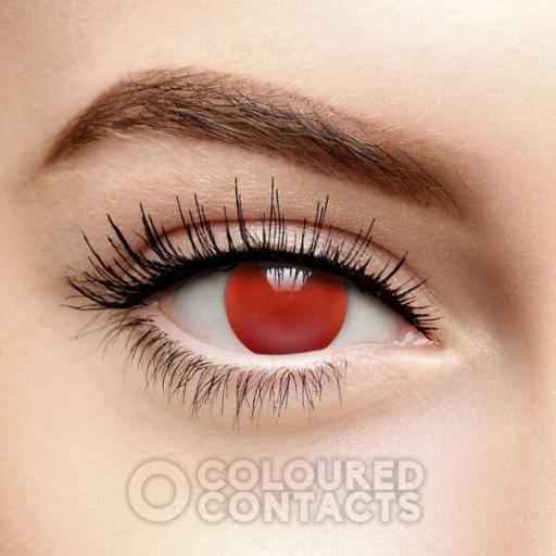Blind Red  One Day Fancy Lenses