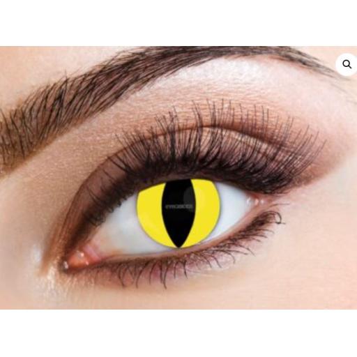 Feline   One Day Fancy Lenses